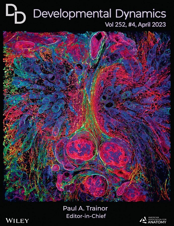 Developmental Dynamics Journal Cover