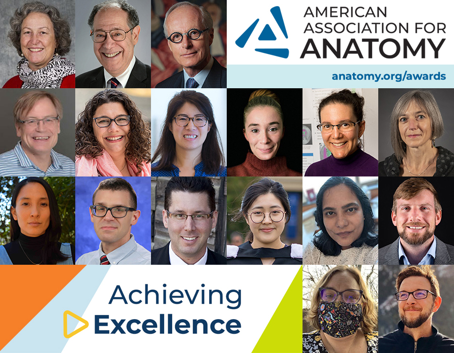 Celebrating Excellence in Anatomical Science: 2021 Award Recipients