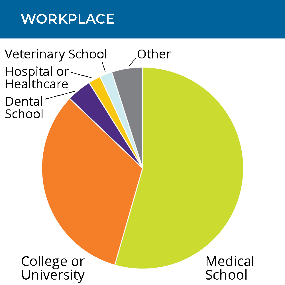 pie chart showing members' workplace