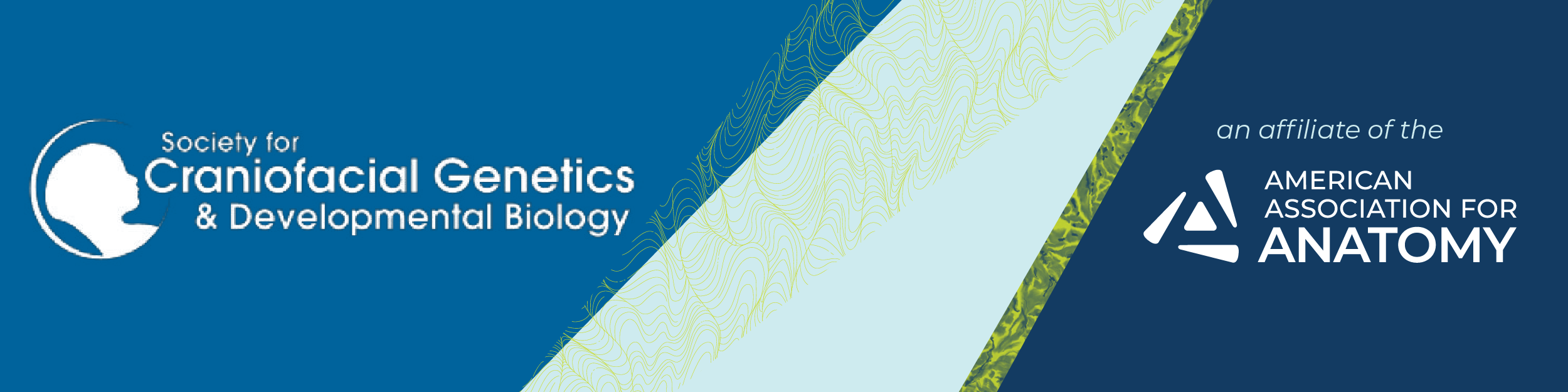 Society for Craniofacial Genetics and Developmental Biology: An Affilate of the American Association for Anatomy