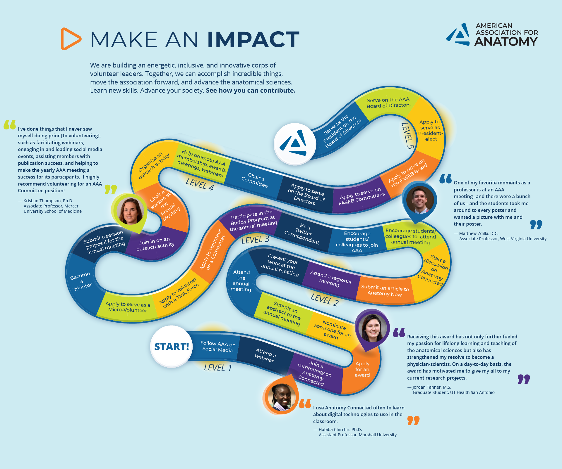 Make an Impact- pathway for volunteering for the American Association for Anatomy