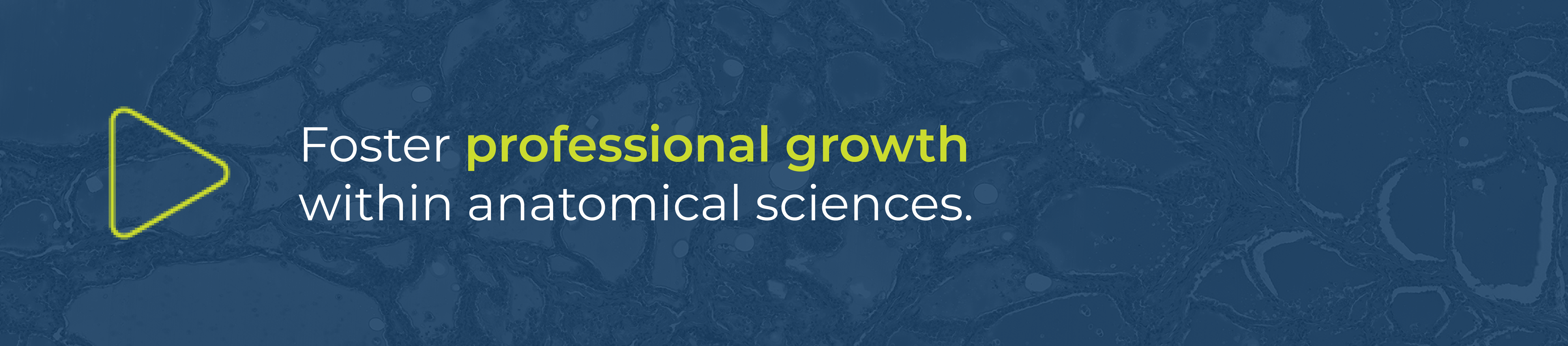 banner that reads "Foster professional growth within anatomical sciences"